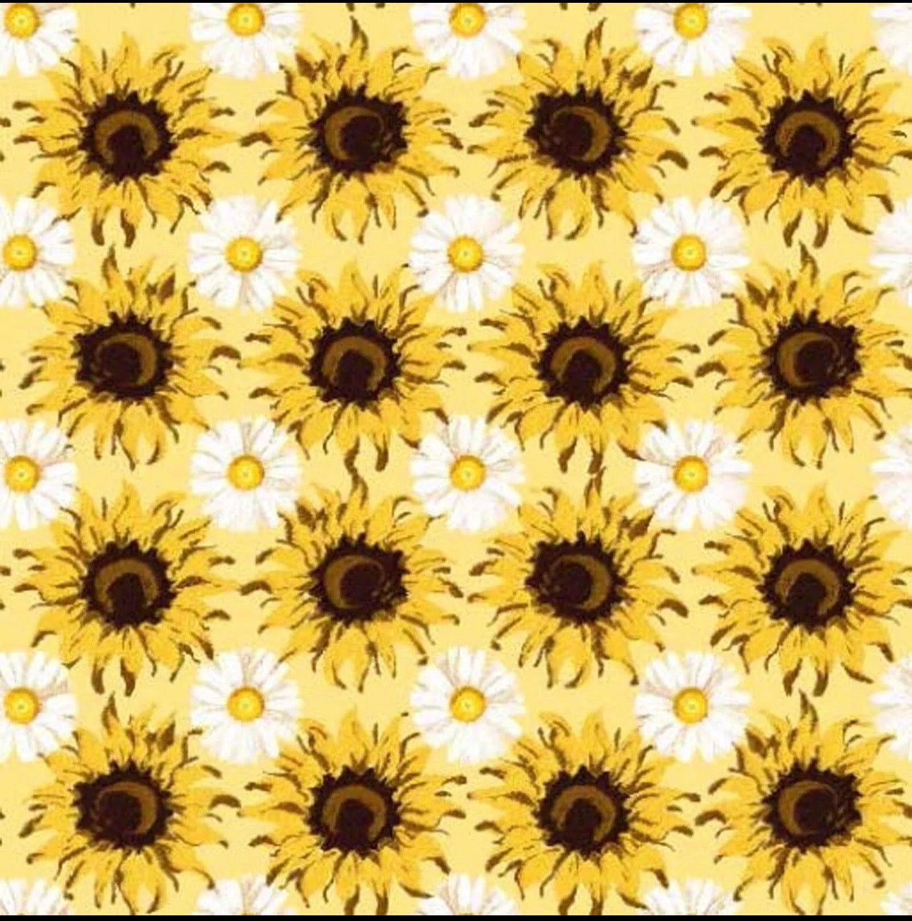 Springs Creative Sunflower Sunshine- Packed with Daisies